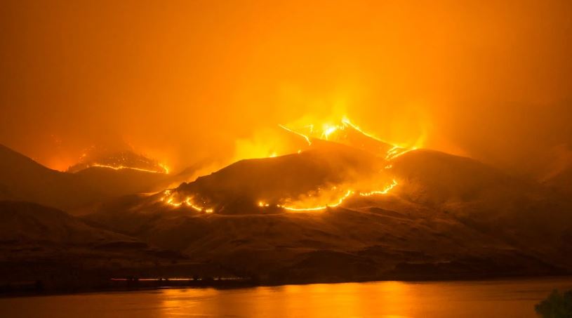Incendio forestal en Córdoba: Un Origen Inesperado
